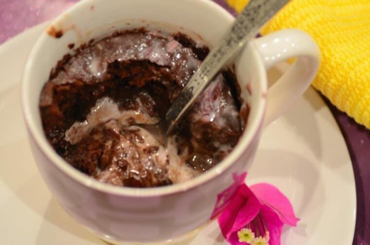 OneMinute Chocolate Fudge Cake in a Mug with Black Cherry Ice Cream