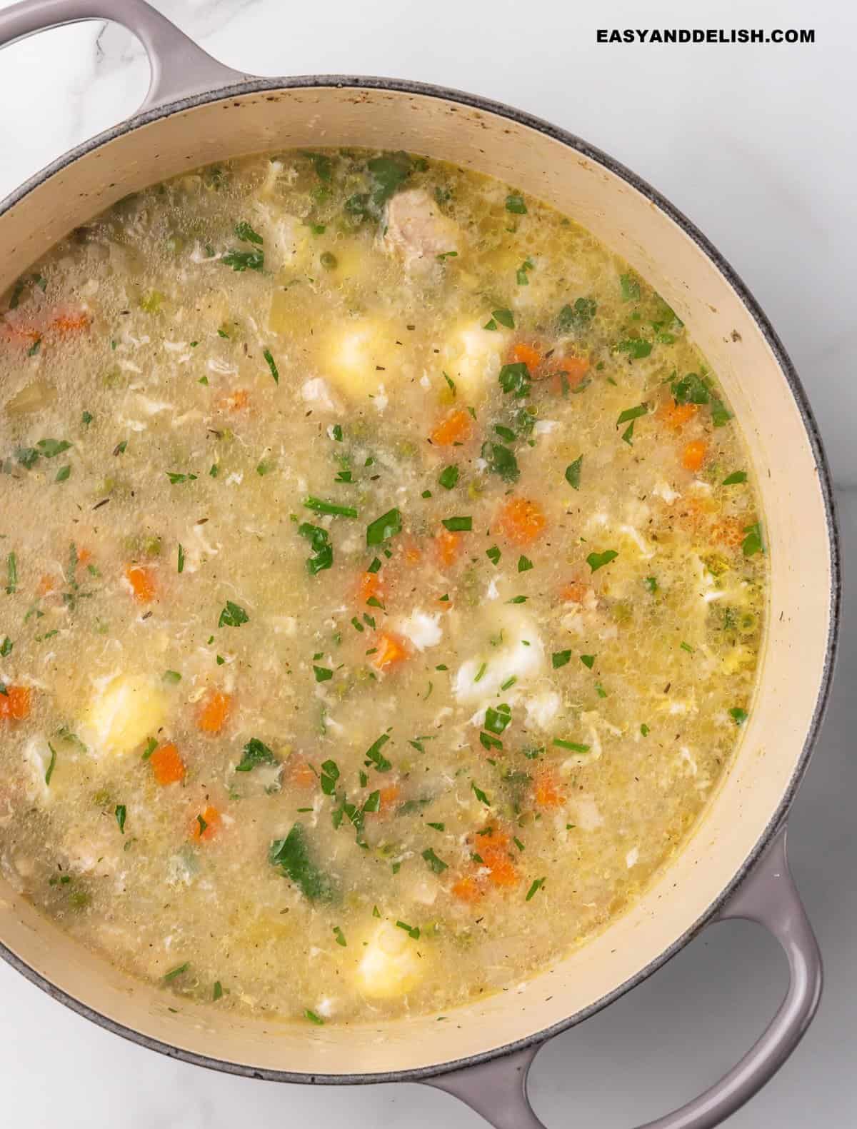 close up of a pot of chicken rice soup 