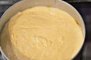 a pan of cake batter