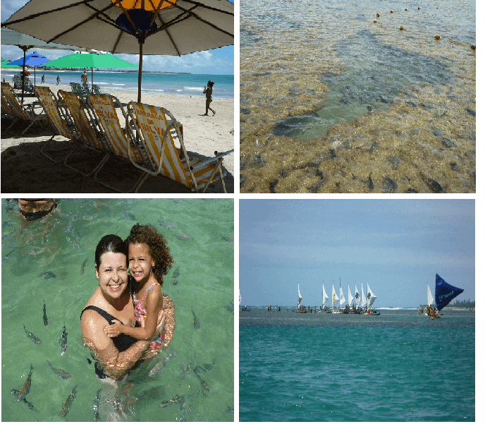 collage with 4 images showing a beach in Pernambuco, Brazil