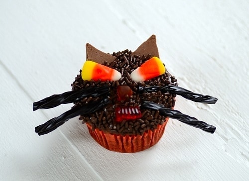 cupcake decorated a black cat