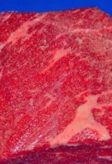 closeup of a slice of uncooked beef