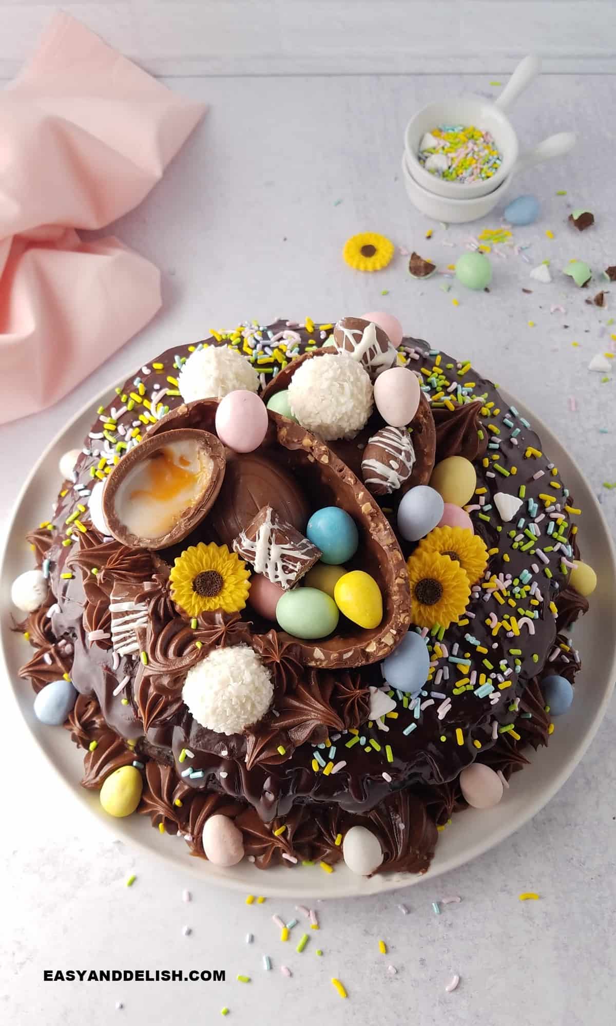 a serving plate with  chocolate Easter cake and some sprinkles on the back.