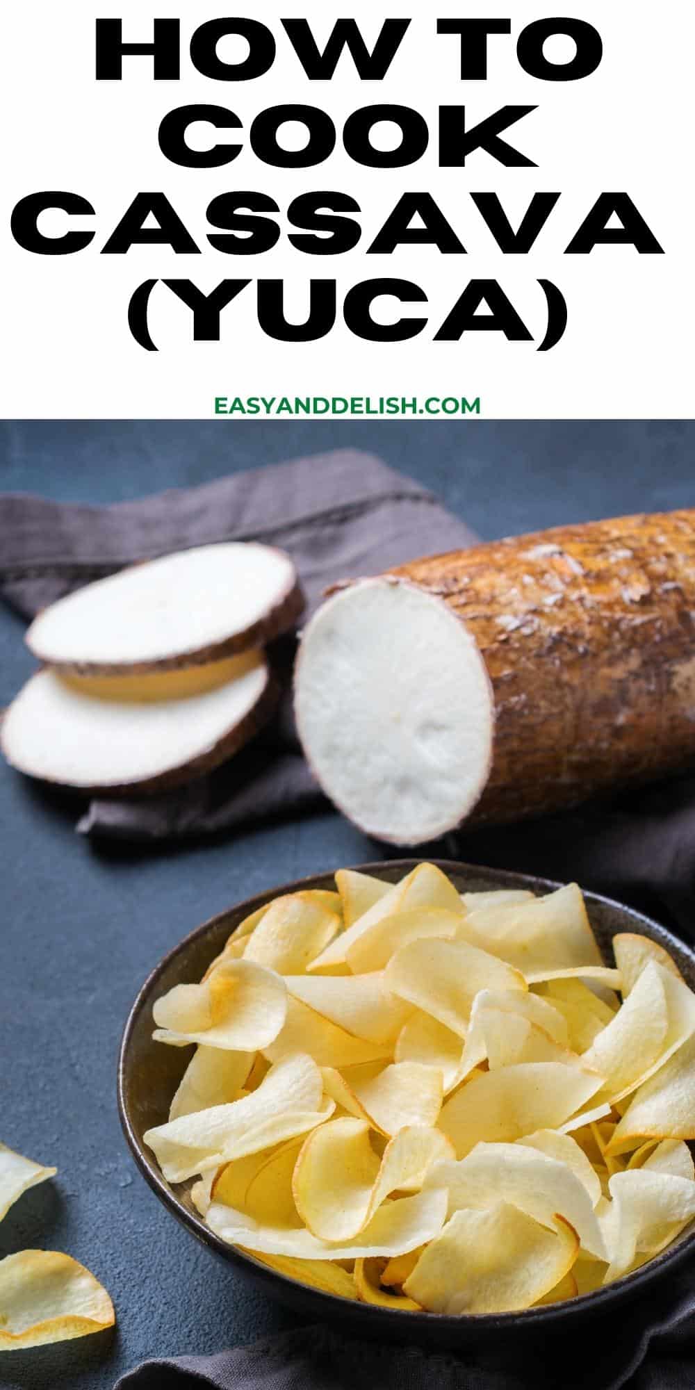 fried cassava chips and its root