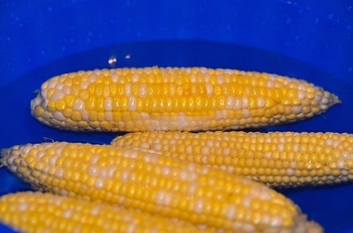 Soaking the corn into water...