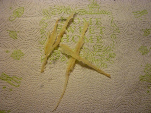 Woody fiber