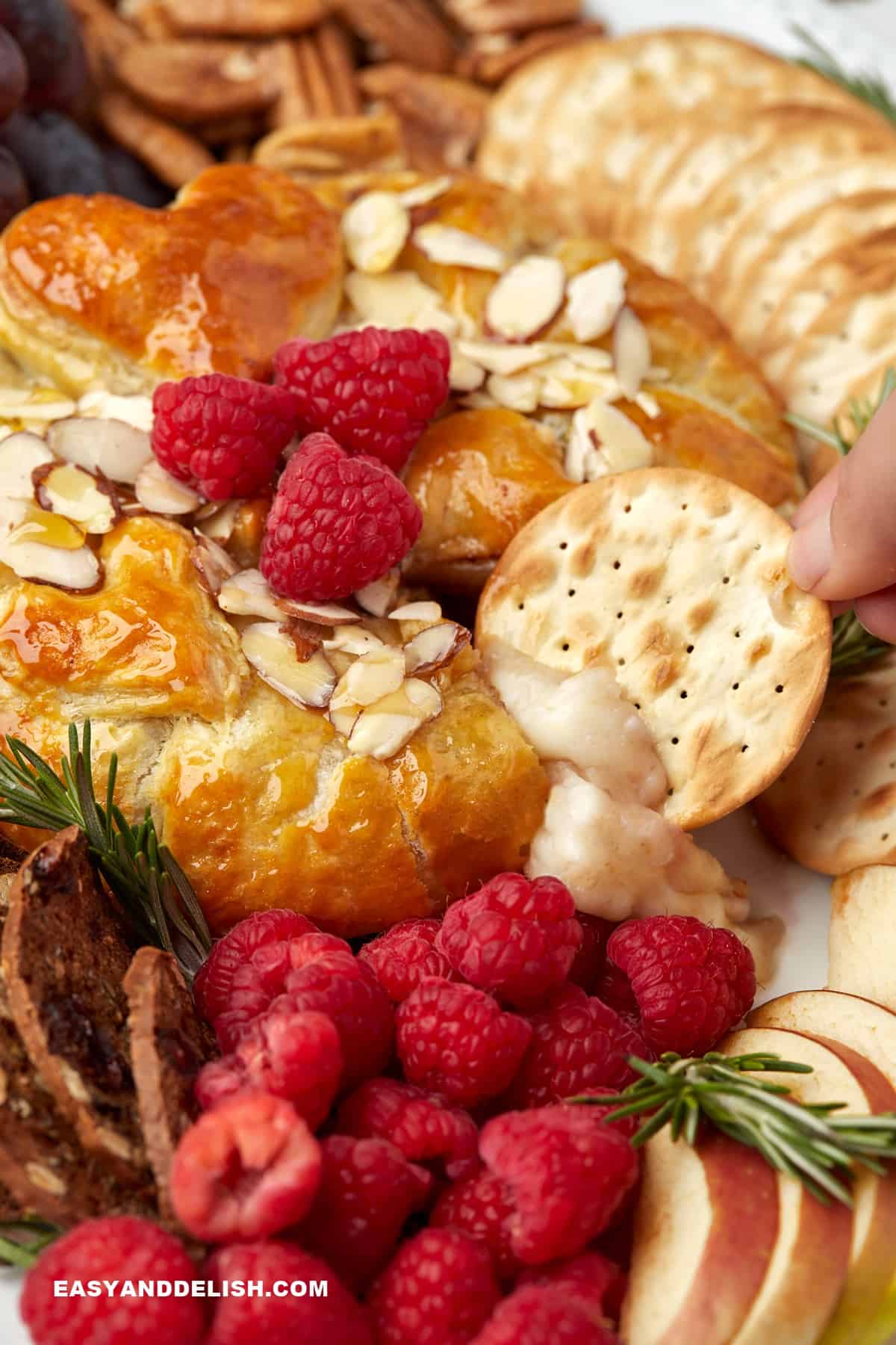 a cracker dipped in baked brie en croute.