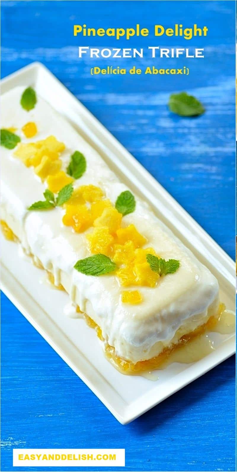 frozen trifle or terrine in a platter