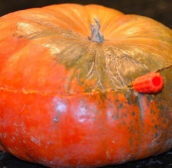 the top of a pumpkin being sliced off with a carving tool