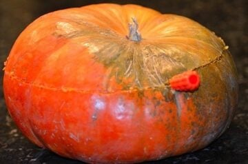 the top of a pumpkin being sliced off with a carving tool