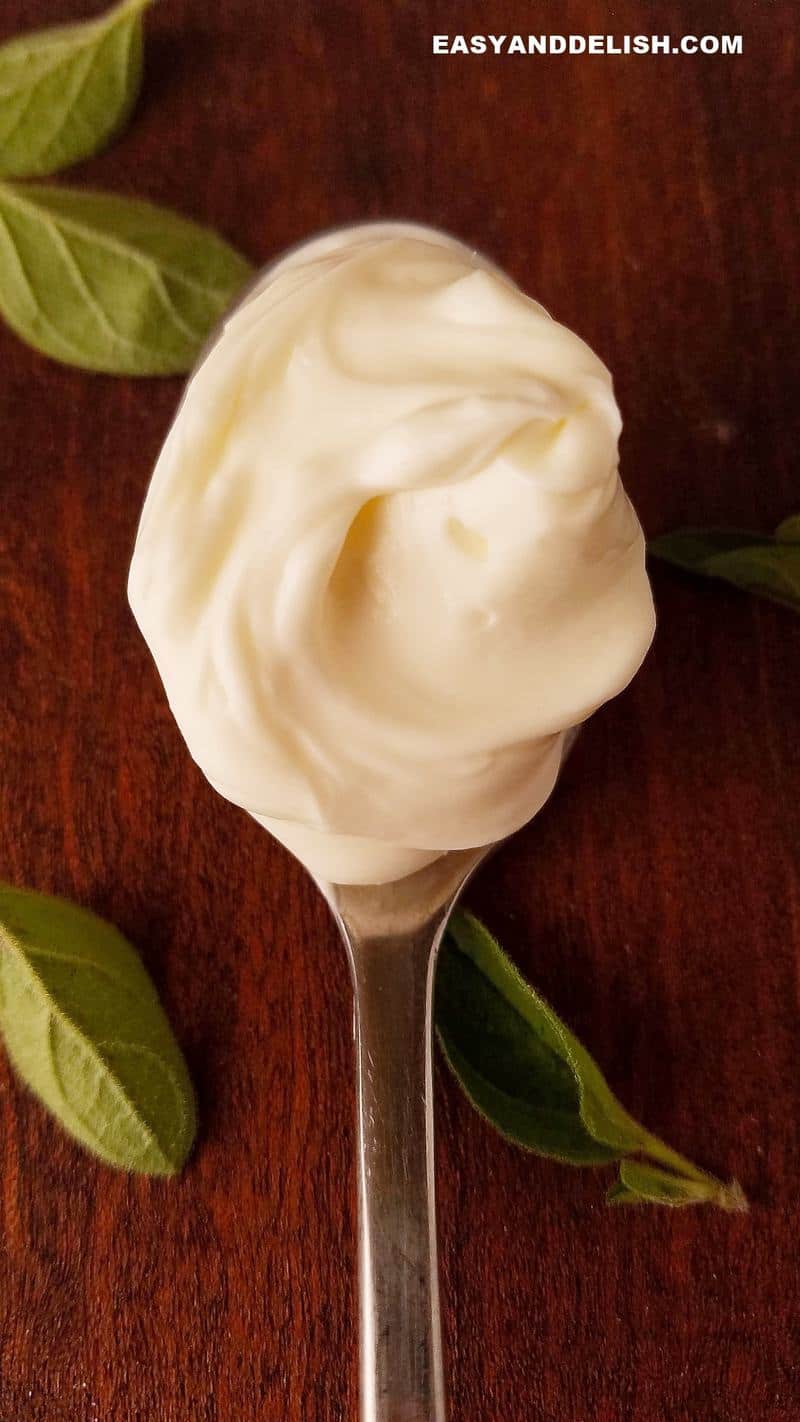 close up of a spoon with Brazilian cream cheese