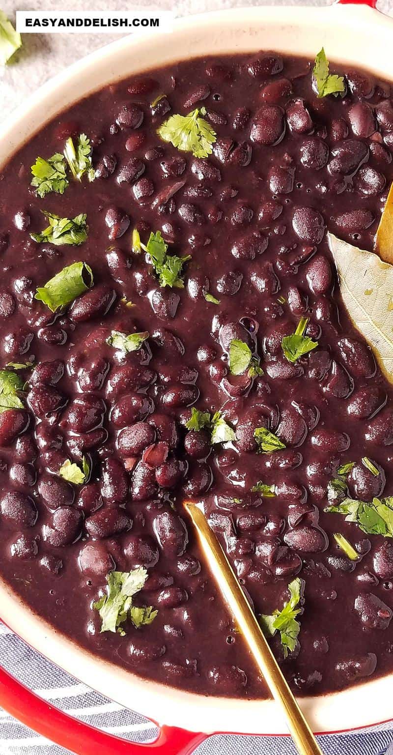 cooked pulses in a bowl --- close up