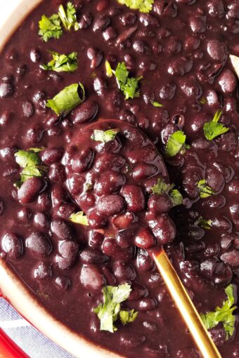 black beans in a bowl with a spoon on the side