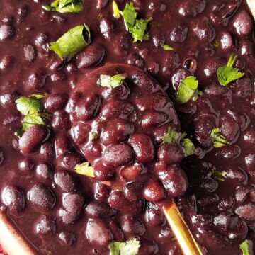 black beans in a bowl with a spoon on the side