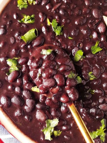 black beans in a bowl with a spoon on the side