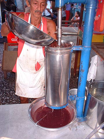 Machine that separates acai­ pulp from its pit. Image Author Decio Horita Yokota. Public domain.