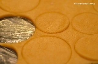 Rolled dough for shrimp mini pot pies being cut out into discs