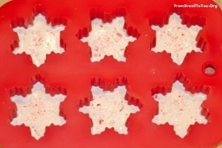 Peppermint Bark Snowflakes - Holiday Hostess Gifts - That Skinny Chick Can  Bake