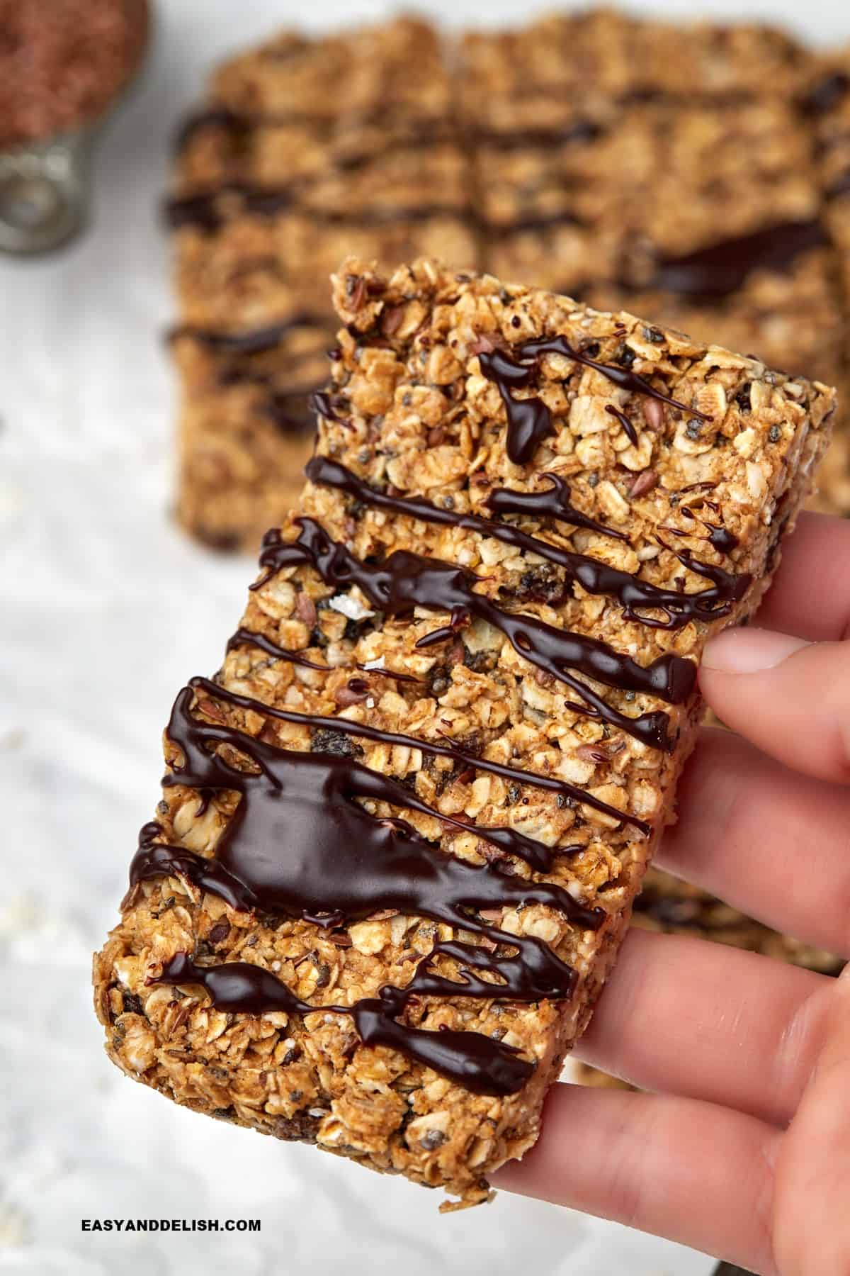 Recette de barres énergétiques pour le camping - Healthy Energy Bars HelD In HanDs