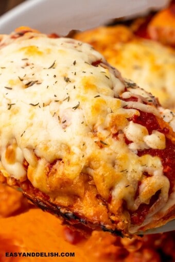 a breast of gluten-free chicken parmesan baked and then lifted witha spatula to be served