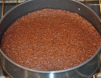 choco nut cake batter poured in a springform pan