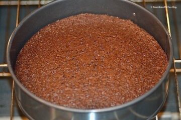 choco nut cake batter poured in a springform pan