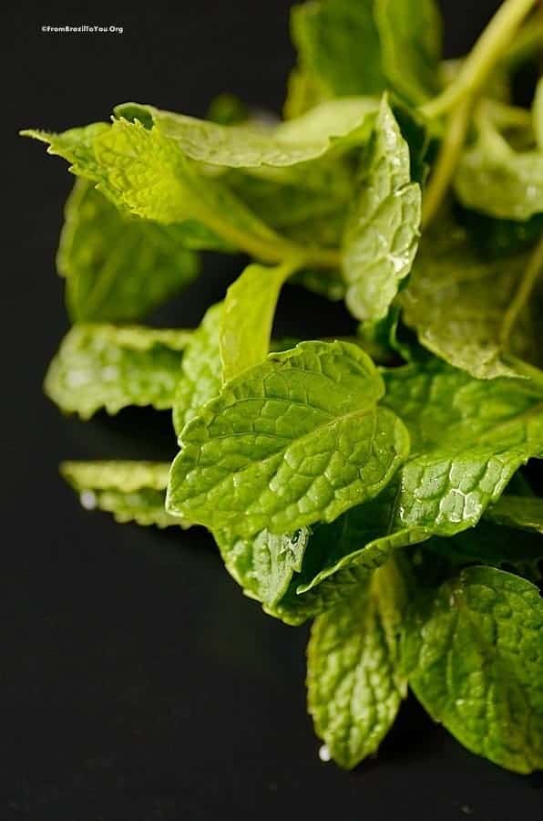 A close up of a green leaf