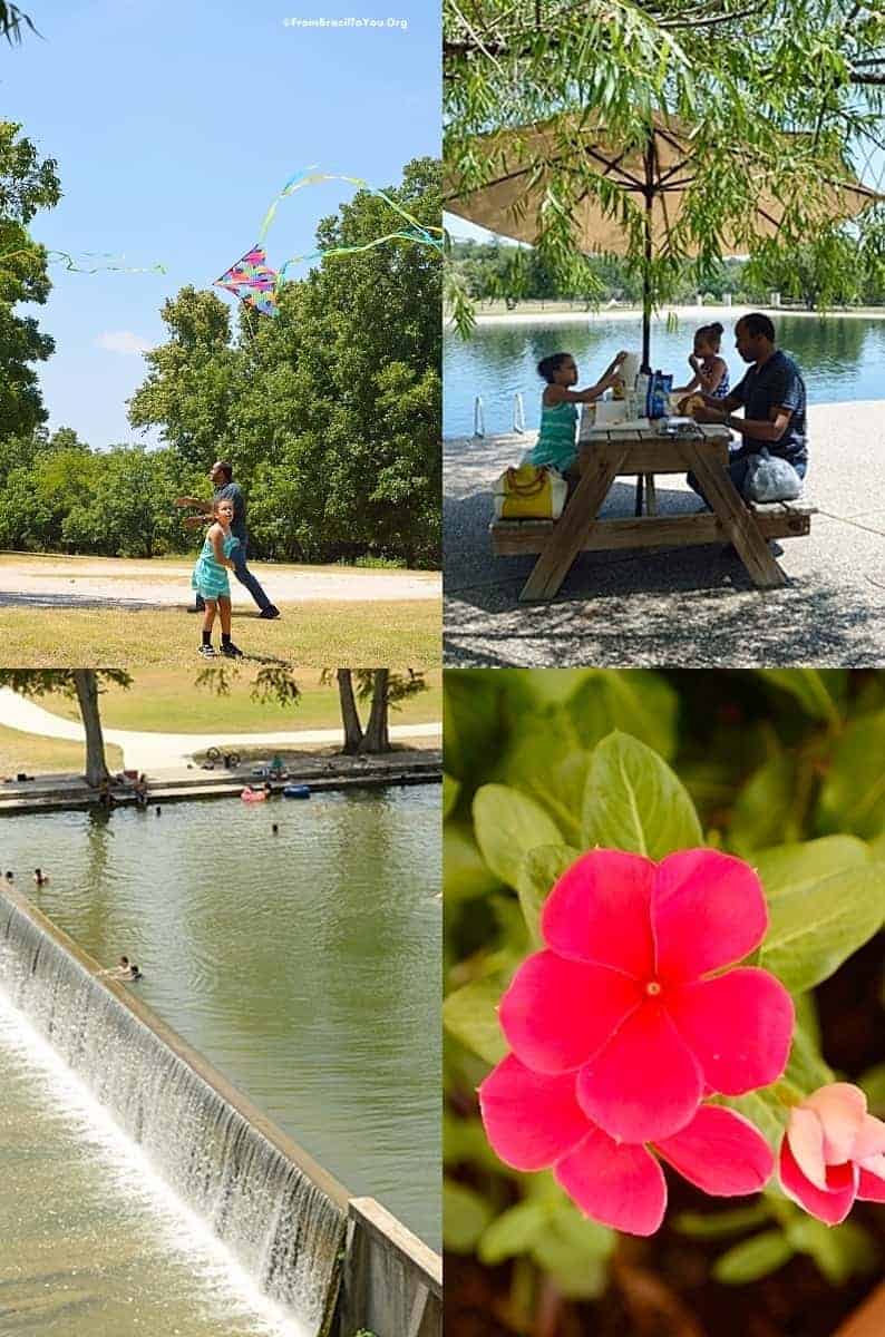 Photo montage of flying a kit, a lakeside picnic, people swimming in the Guadalupe River, and a red flower