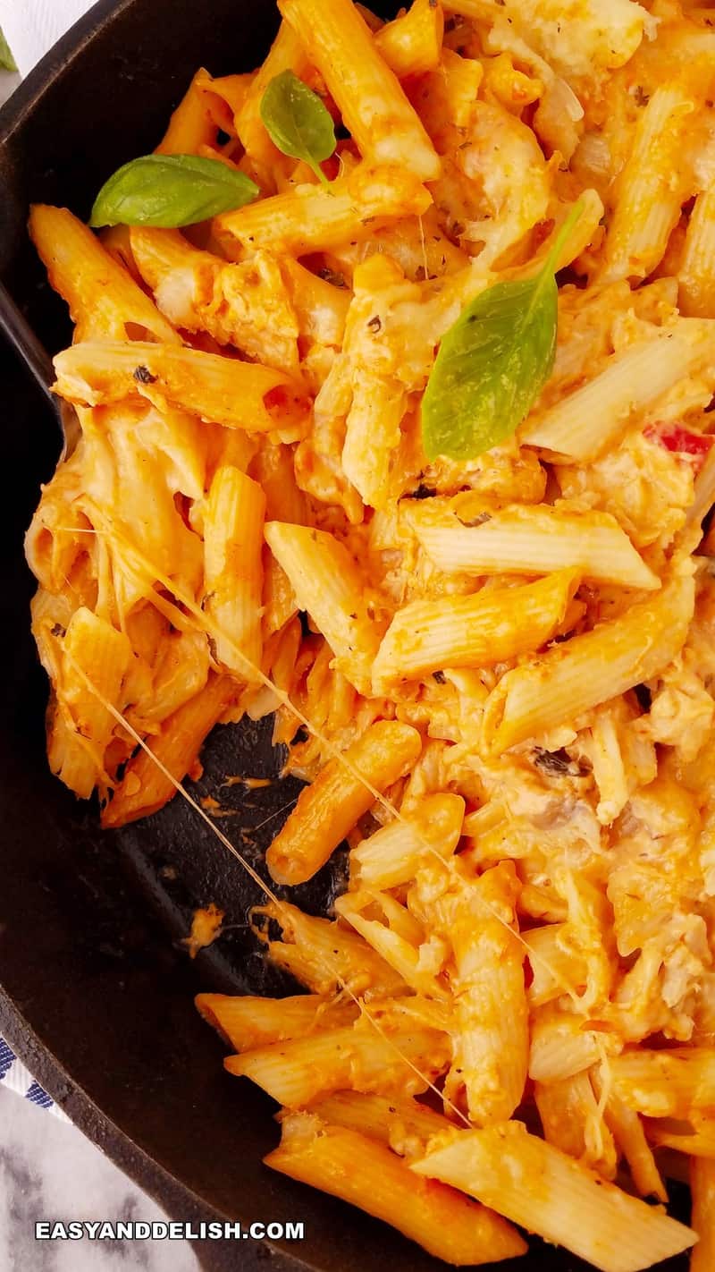 macarrão de forno com queijo derretido