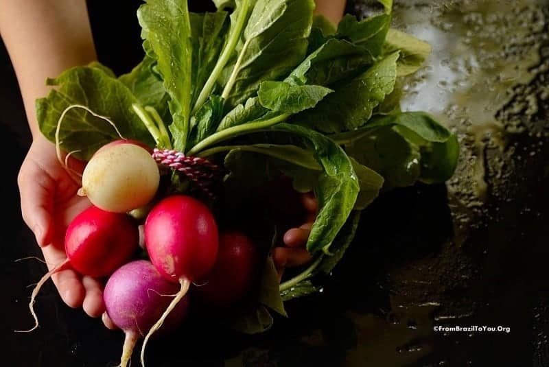 Easter egg radish by Denise Browning