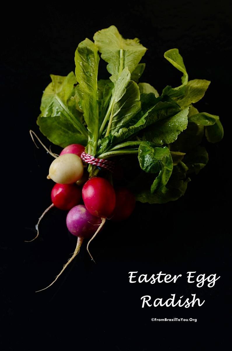 Easter egg radish by Denise Browning