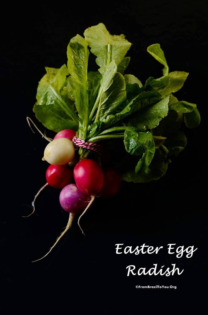 Easter egg radish by Denise Browning