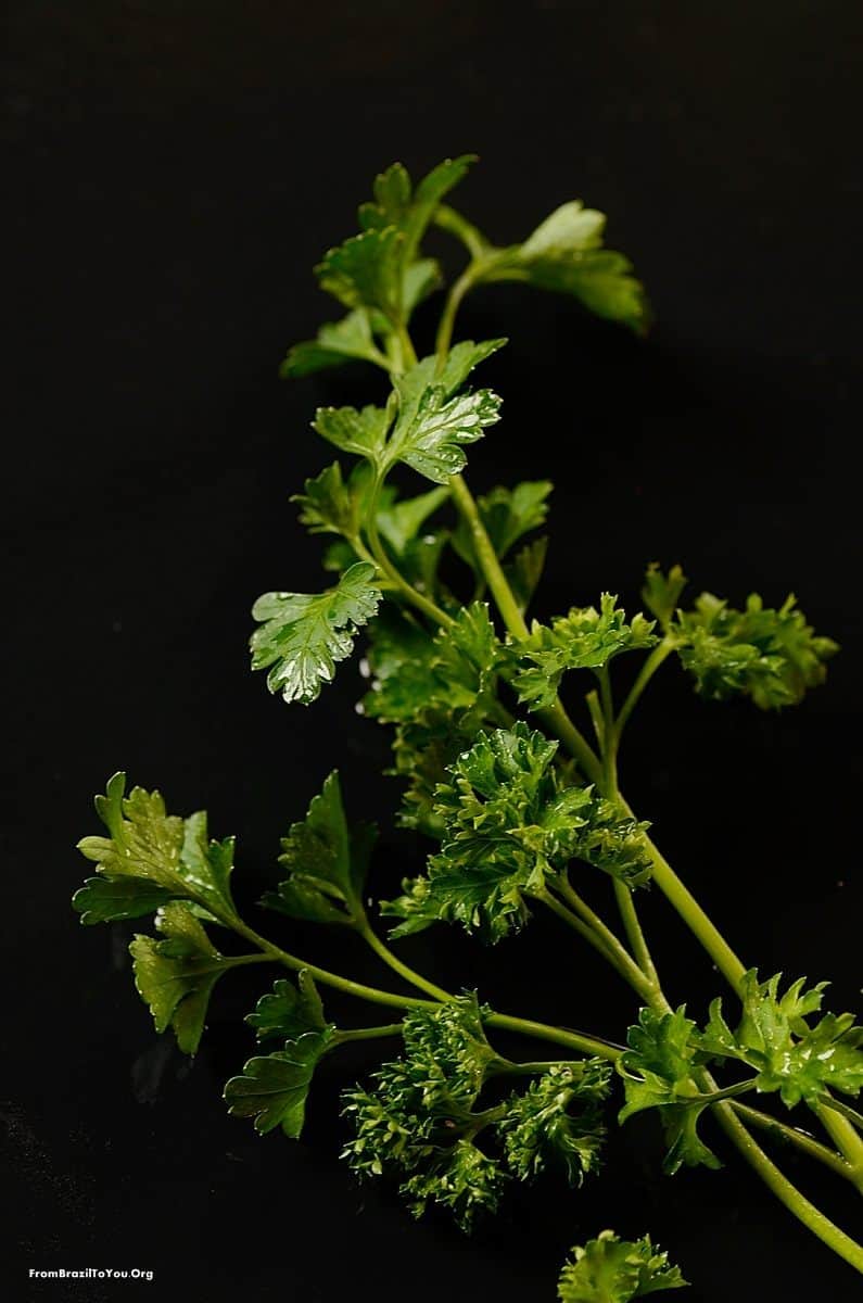Parsley by Denise Browning