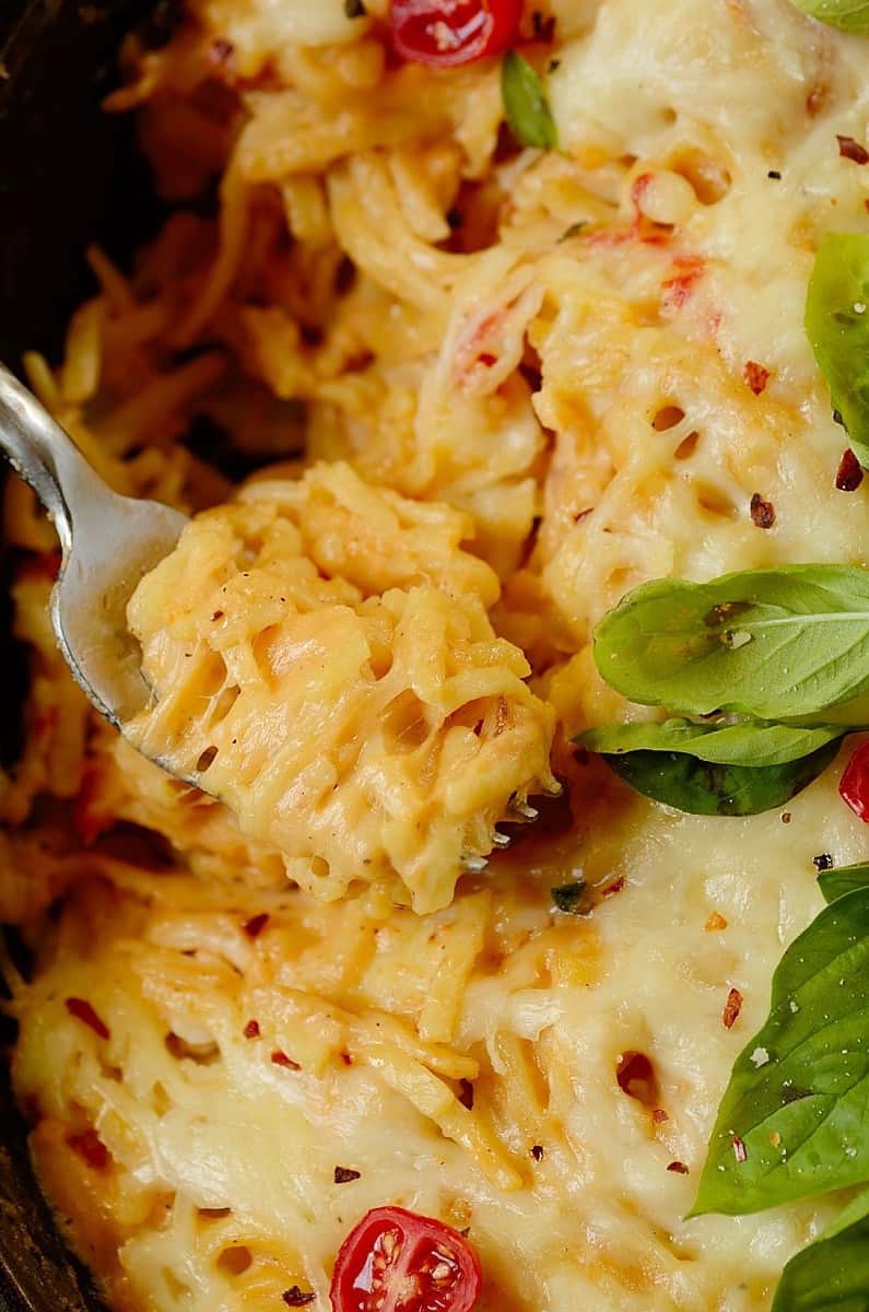 close up image of chicken bacon pasta