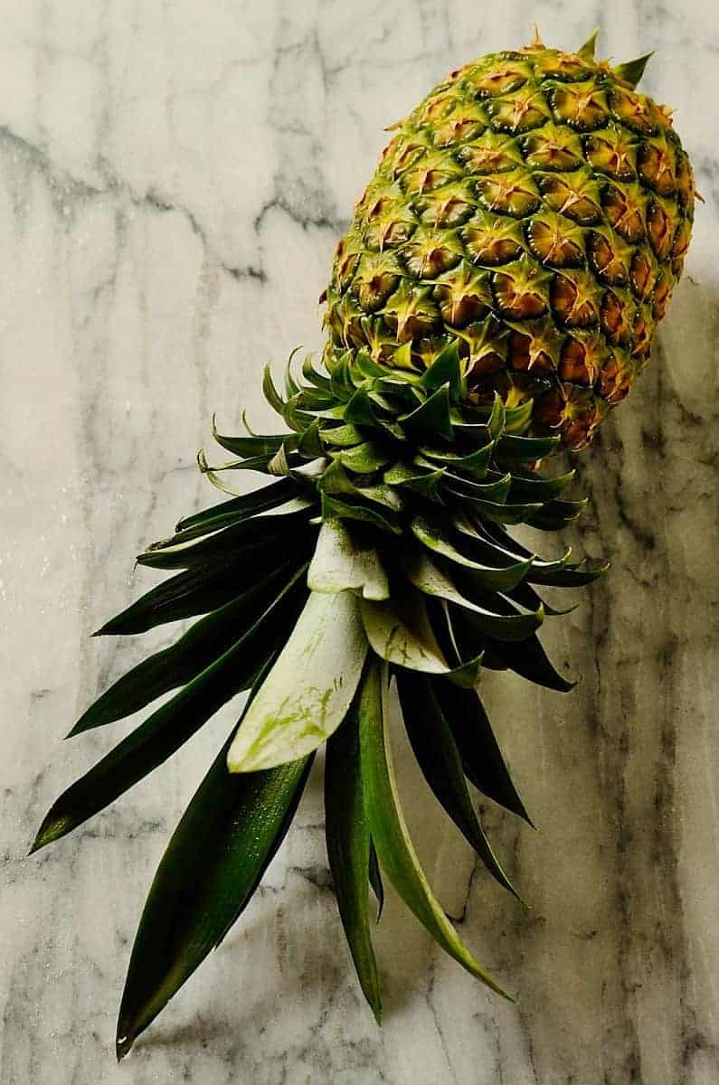 Pineapple by Denise Browning