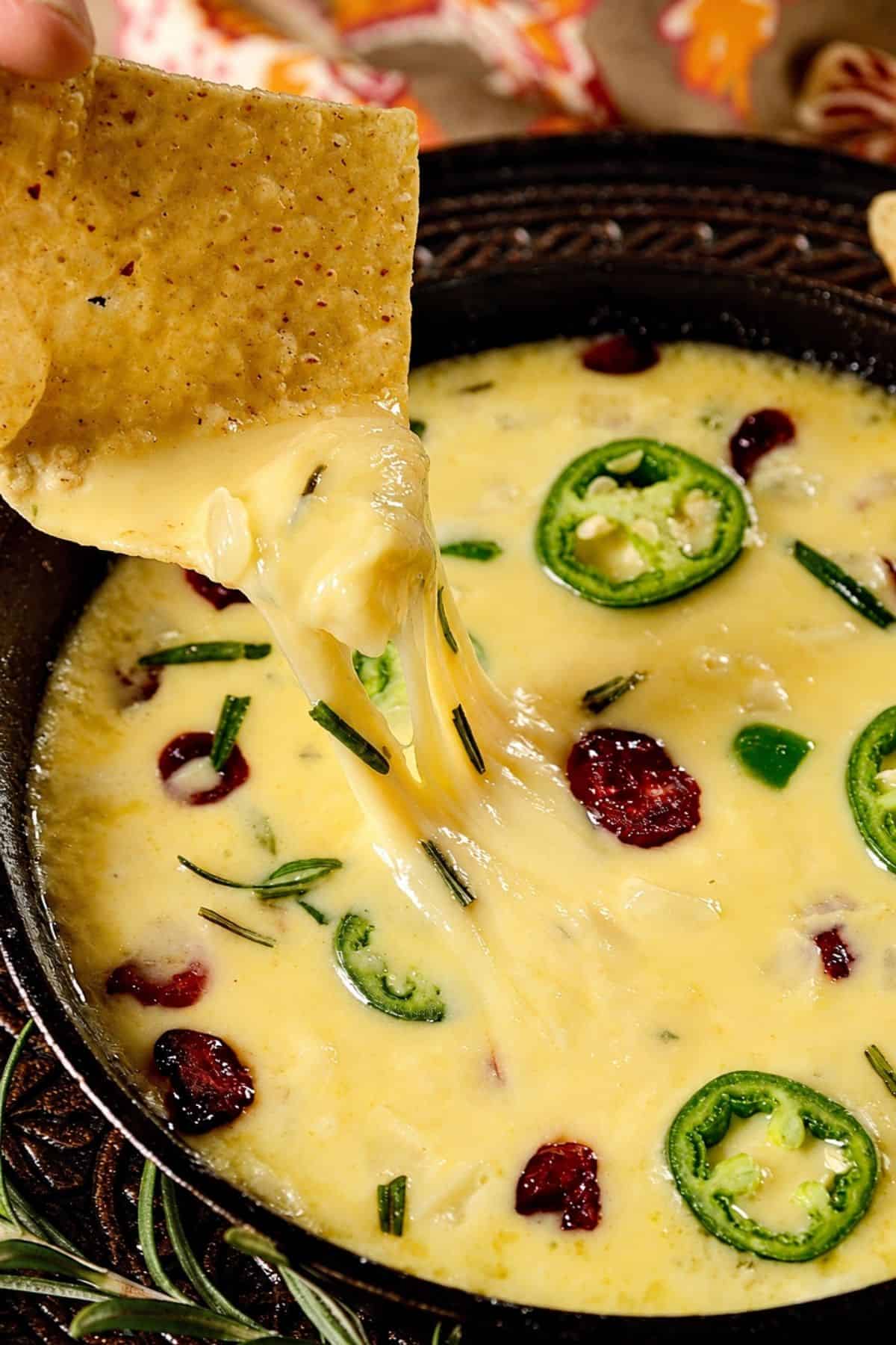 Melted cheese dip topped with jalapeño slices, dried cranberries, and rosemary beside tortilla chips.