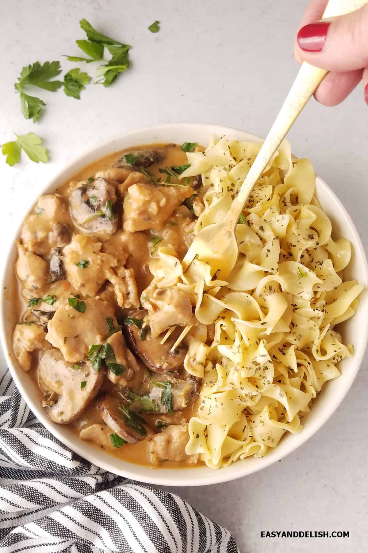A bowl with pork stroganoff and buttered noodles. 