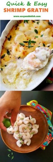 Shrimp-gratin