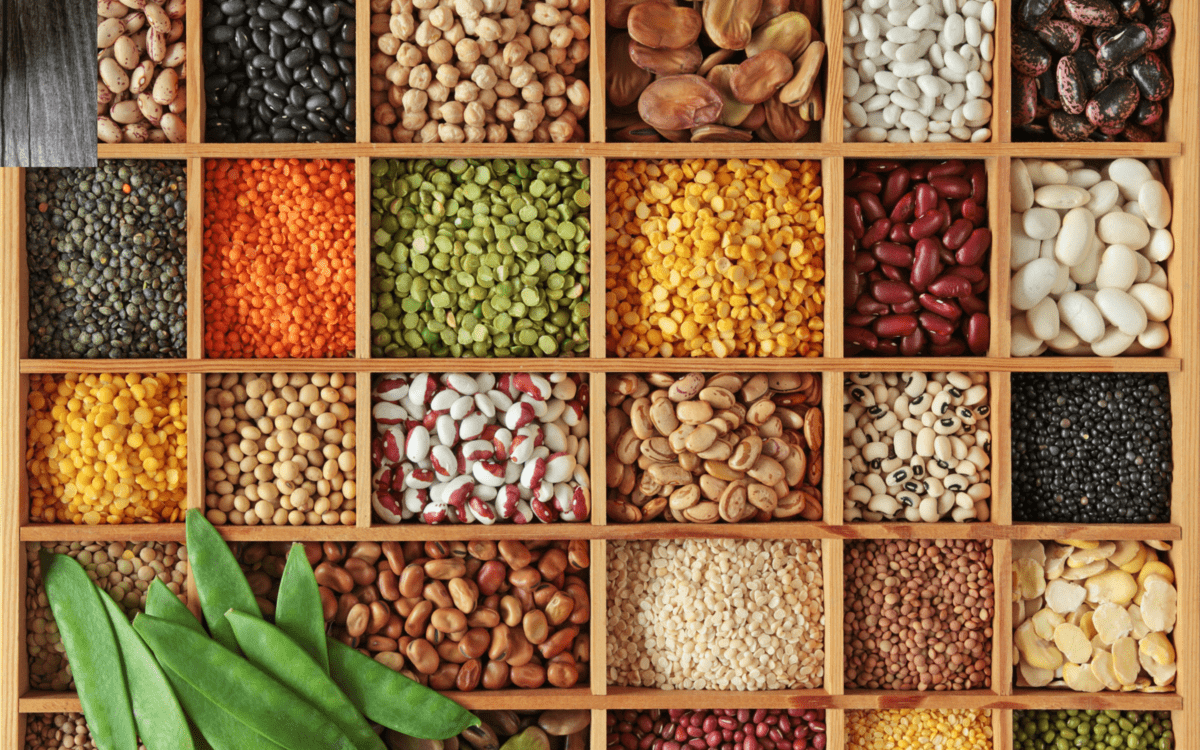 a variety of legumes in a tray