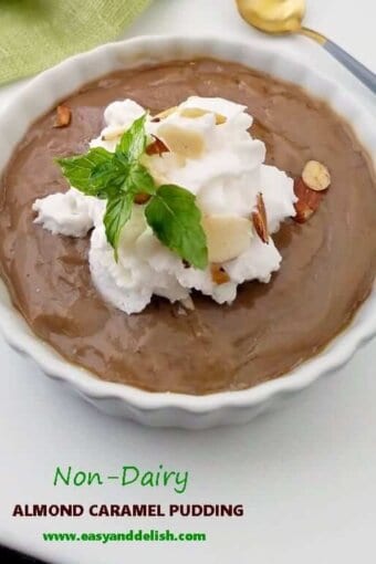 caramel pudding in a ramekin -- close up