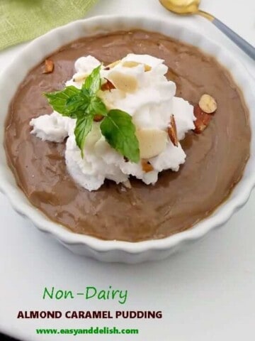 caramel pudding in a ramekin -- close up