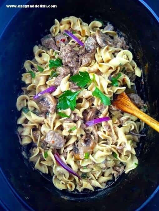 Plate of beef stroganoff with mushrooms and red onions