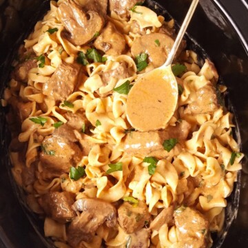 egg noodles and beef stroganoff in the slow cooker