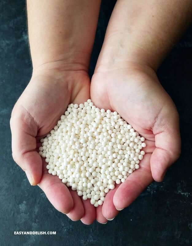 two hands holding tapioca pearls