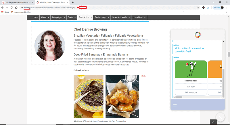 United Nations featuring Denise Browning's Brazilian recipes on their website (press).