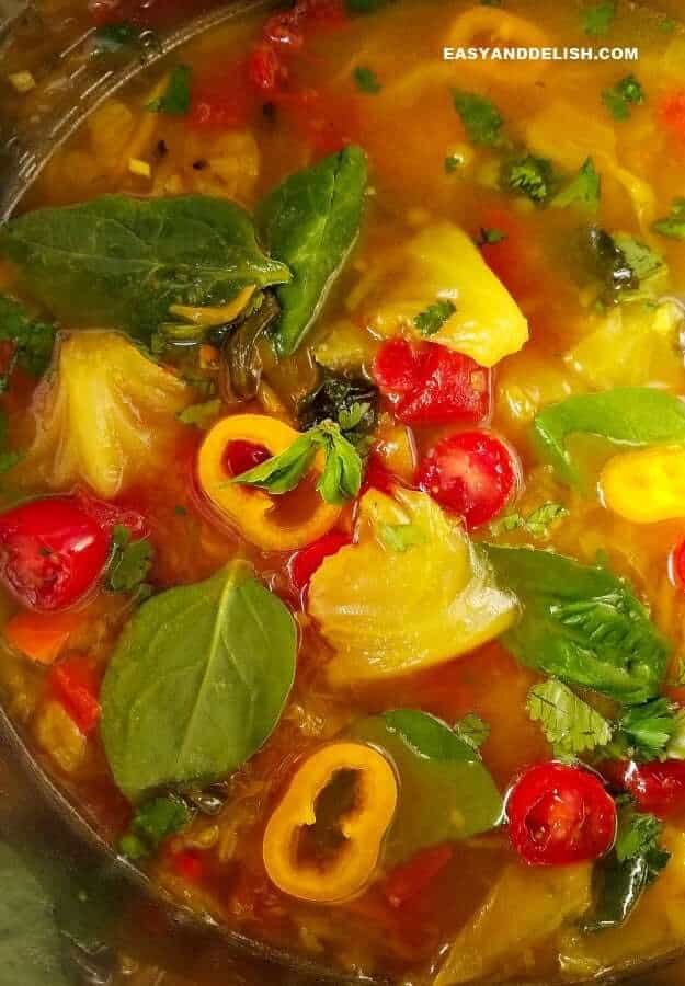 close up of instant pot cabbage soup