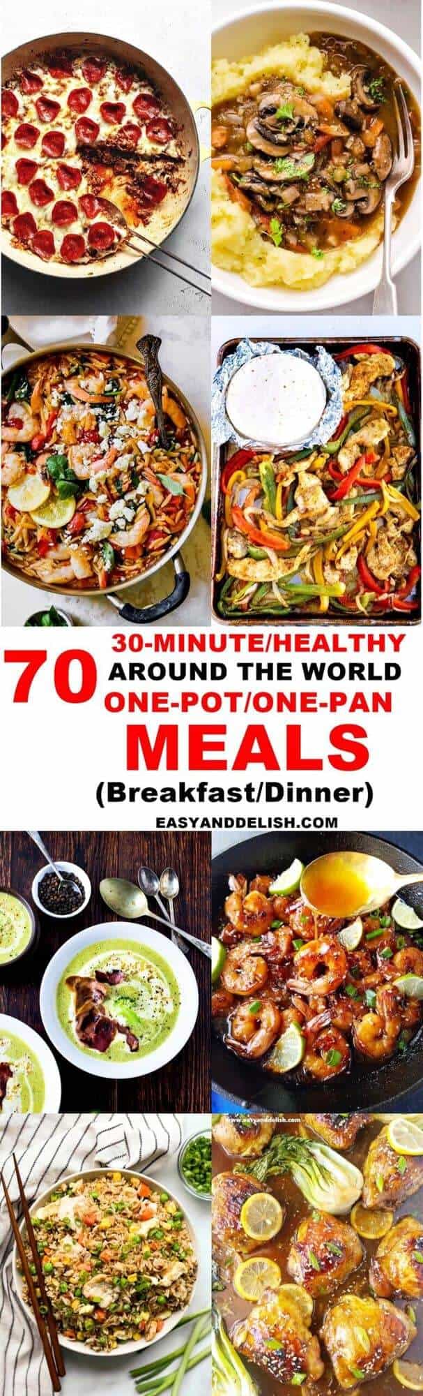 70 Easy and Healthy One Pot Meals (30 Minutes) - Easy and Delish
