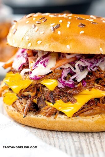 close up of pulled pork sandwich