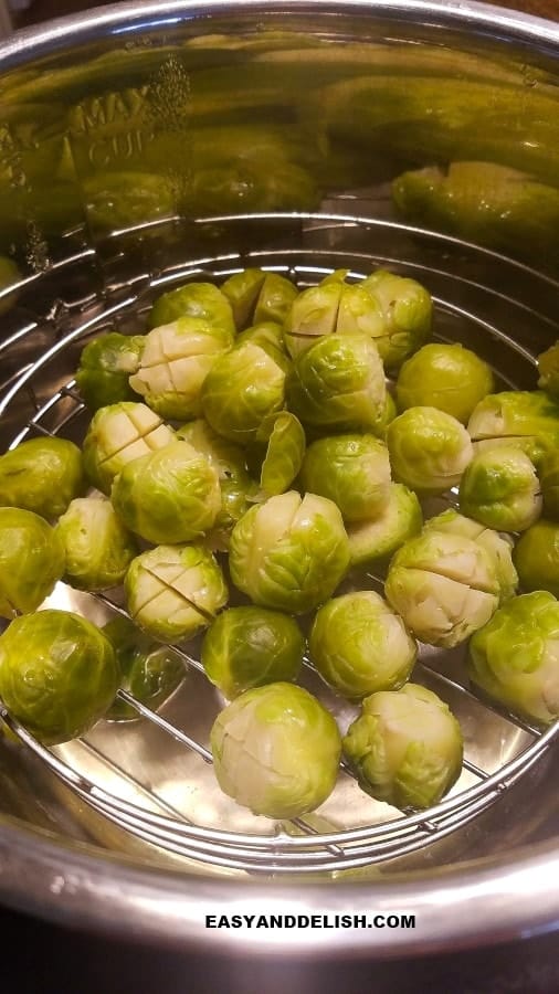 veggies being steamed in a pressure cooker