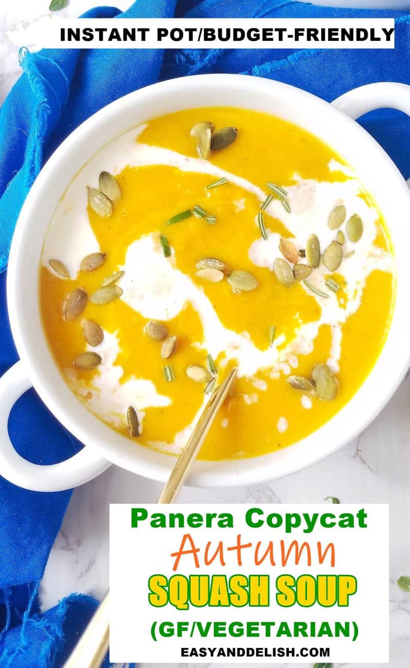 oone bowl of Panera copycat Autumn Squash Soup